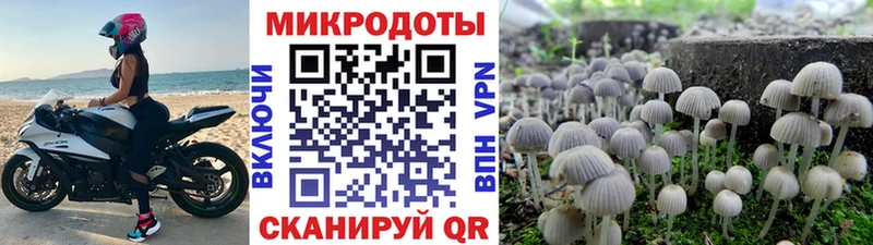 Галлюциногенные грибы GOLDEN TEACHER  Алзамай 