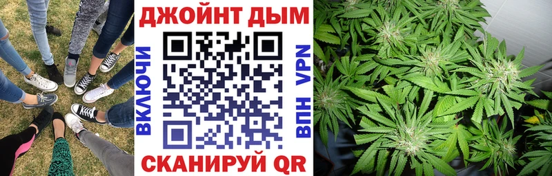 Каннабис индика Алзамай